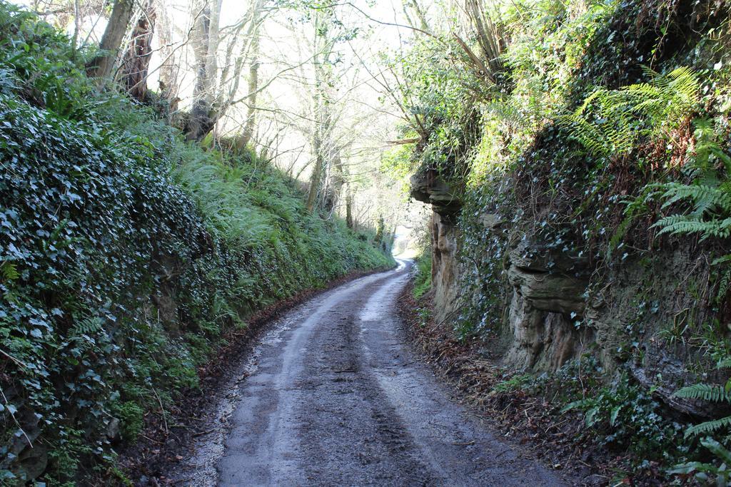 Cherrybrook Glastonbury Extérieur photo